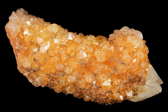 Sunshine Cactus Quartz Crystal - South Africa #122344